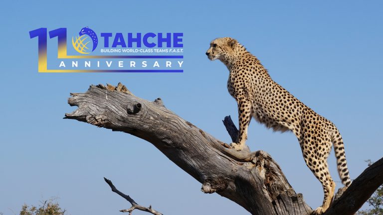 Tahche at 11: A Journey of Excellence and Innovative Recruitment